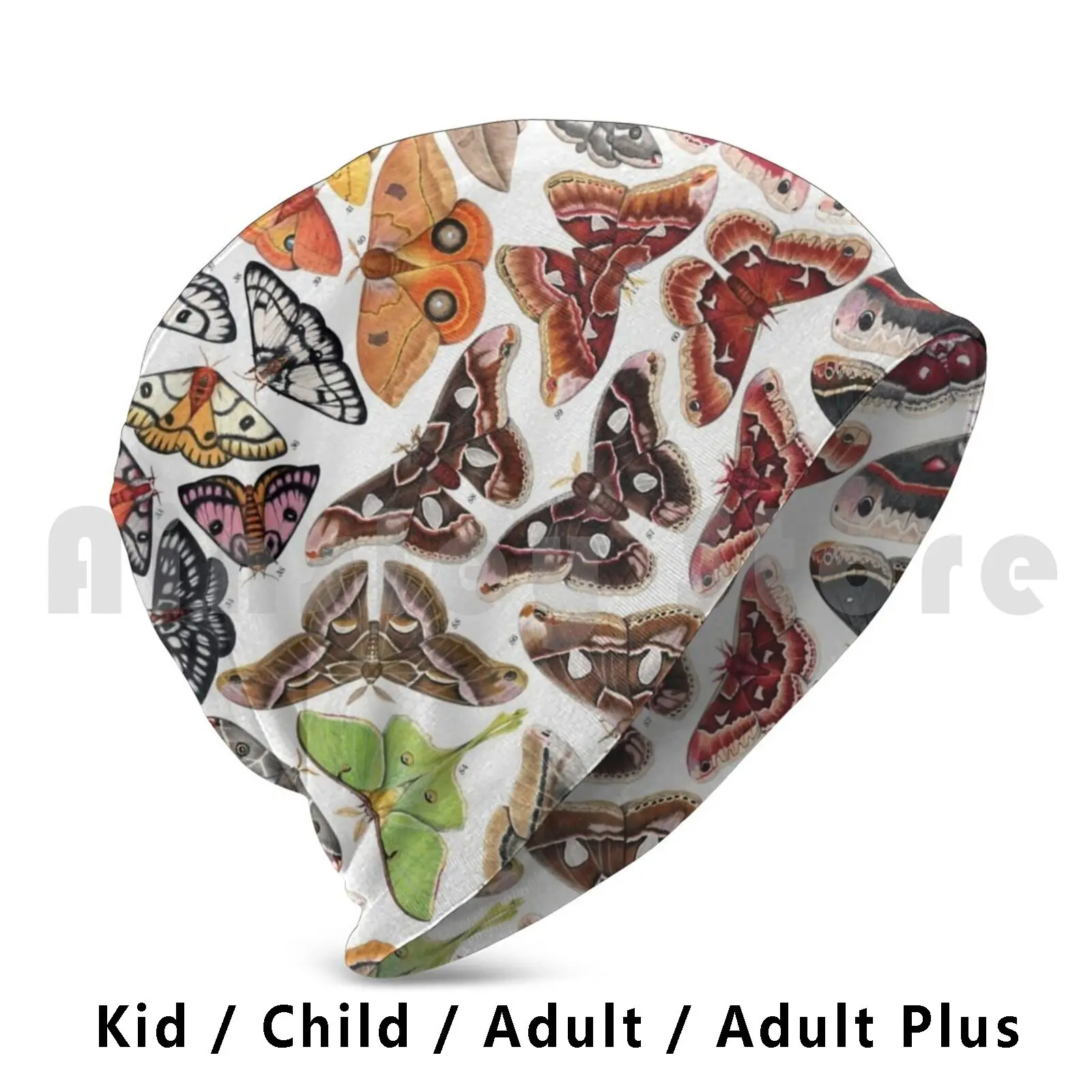 Saturniid Moths Of North America Hat 982 Moth Lepidoptera насекомые животные Entomology