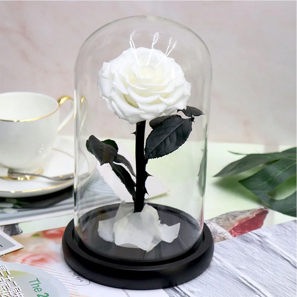 

Beauty And The Beast Preserved Valentines Exclusive In Glass Dome With Lights Eternal Real Rose FLOWER Valentine's Day Gift