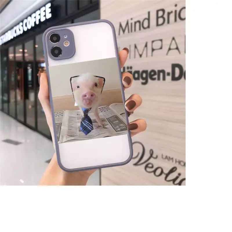 

Cute Little Pink Pet Pig Phone Cases matte transparent For gray iPhone 7 8 x xs xr 11 12 pro plus max mini Clear Funda