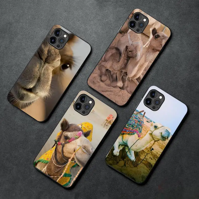 Animal Camel Phone Case For IPhone SE2 11 12 13 Pro XS MAX XS XR 8 7 6 Plus Case
