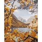 DIY 5D Decoration Diamond Painting For Home Art On Canvas Full Drill Rhinestone Embroidery Cross Stitch Kits Handmade Decor