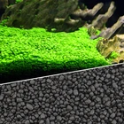 Водные растения, грязь, почва, удобрение, грязь для аквариума, уход за растениями, пресная вода, аквариум, подложка, песок