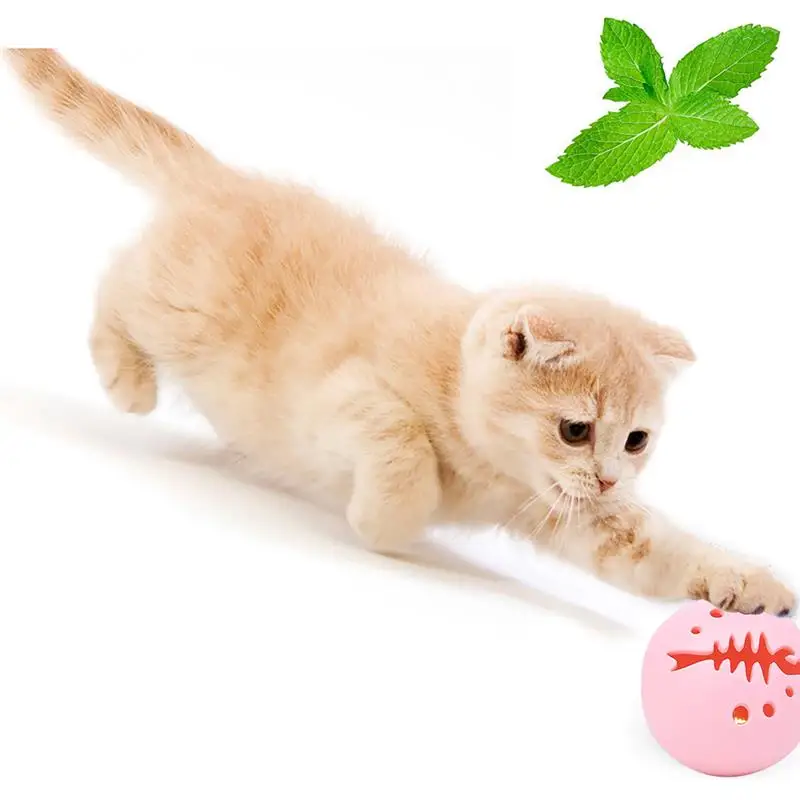 

3PCS Cat Ball Toy Cute Bone Decor Interactive Cat Catnip Toy Cat Toy for Kitten