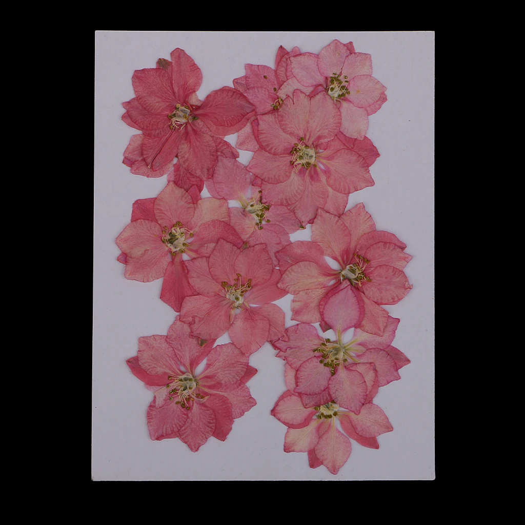 12 штук красивый прессованный цветок ларкспур Натуральные сушеные цветы для