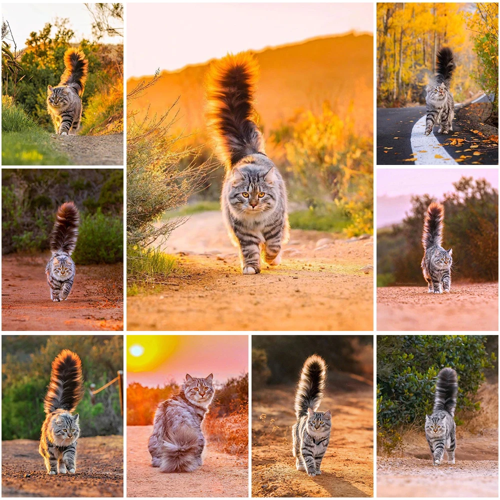 

Алмазная живопись 5D «сделай сам», изысканная домашняя мозаика Стразы с изображением животных и котов ручной работы, декоративная живопись, ...