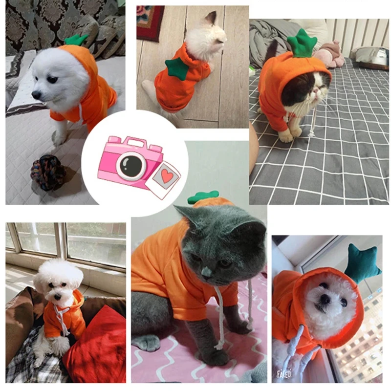 Теплая зимняя одежда для собак милое плюшевое пальто толстовки костюм домашних
