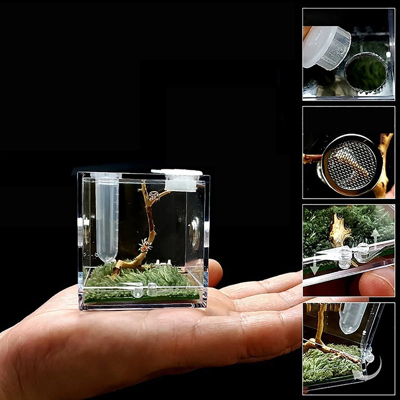 1set Small Spider Ant Farm Insect Breathable Terrarium Transparent Reptile Breeding Box Acrylic  Assembled Eco Box