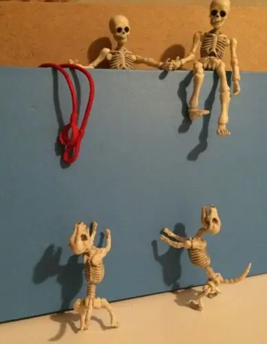 Миниатюры фигурка в виде черепа представляют Скелет Figma фигурку для взрослых и