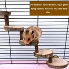 Деревянный хомяк для попугая, лестница для скалолазания, лестница, упражнения для птиц, подставка, платформа для ухода за зубами, молярная игрушка, клетка, Прямая поставка