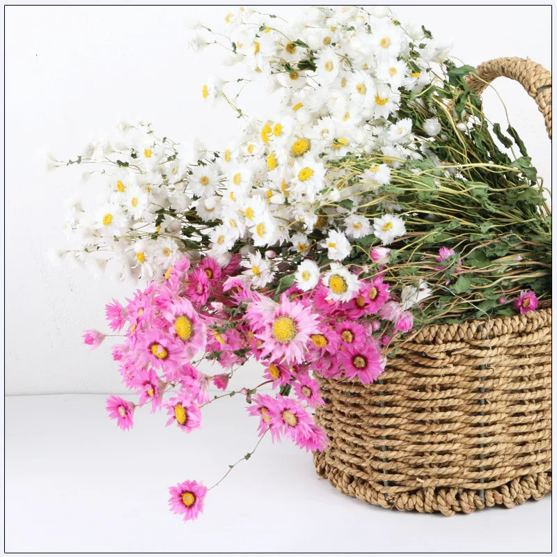 

Daisy Dried Flowers Small Star Bouquets Vivid Natural Plants Wedding Supplies Home Decoration DIY Crafts Photography Props
