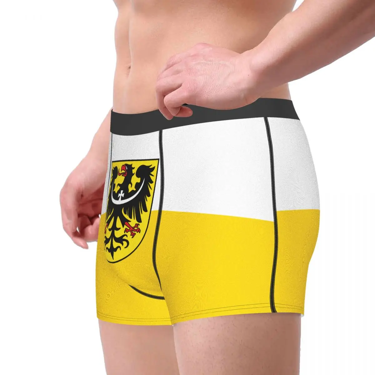Flag Of Silesia And Lower Silesia (with Eagle) Men's Boxer Briefs German states Funny Joke Men's boxer leggings