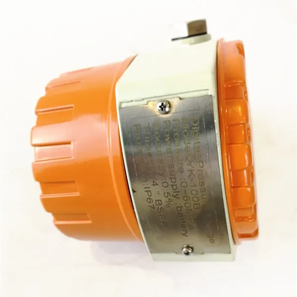 

Explosion-proof gas digital pressure gauge