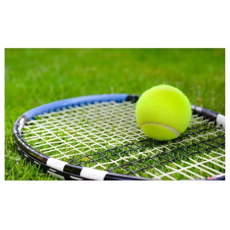 Полноразмерная Алмазная вышивка домашний декор мозаика из смолы картина наборы