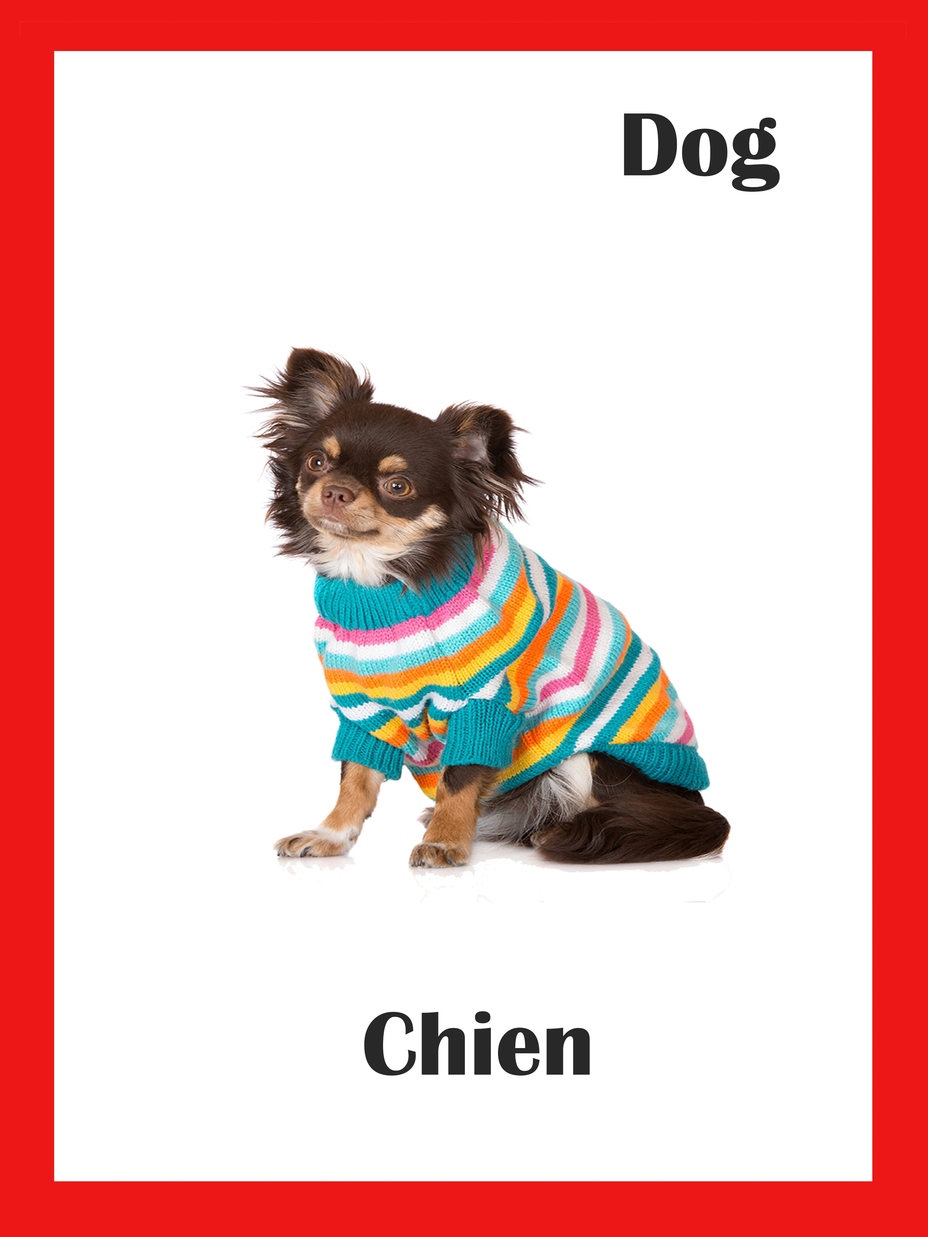 85 шт. детские развивающие карты Монтессори с французскими