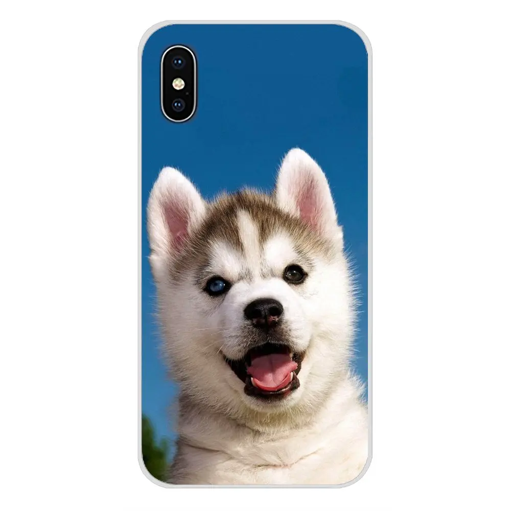 Accessories Phone Cases Covers For Samsung A10 A30 A40 A50 A60 A70 Galaxy S2 Note 2 3 Grand Core Prime Christmas Dogs Husky | Мобильные