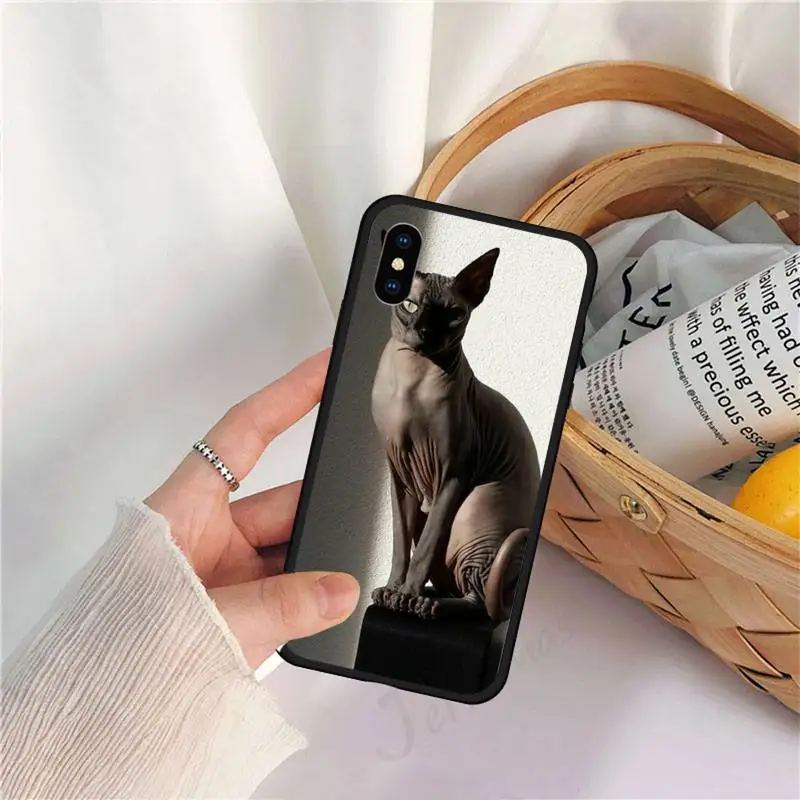 

sphynx cat cute animal Phone Case for iPhone 11 12 pro XS MAX 8 7 6 6S Plus X 5S SE 2020 XR luxury deisgn shell funda