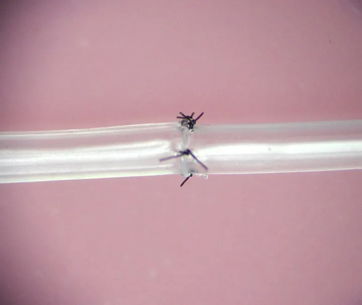 Микрохирургический шовный тренинг моделирование кровеносных сосудов 1 мм/2 мм