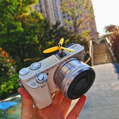 

Бамбуковая Стрекоза Вспышка Горячий башмак защитный чехол для SLR DSLR цифровой камеры Защитная крышка аксессуары для Canon Nikon sony Fuji