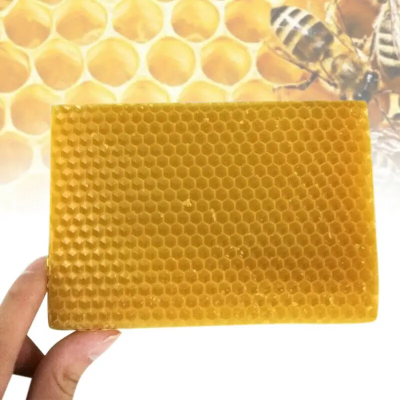10 шт. Пчеловодство Мед гребень основа воск рамки мед улья Оборудование Набор