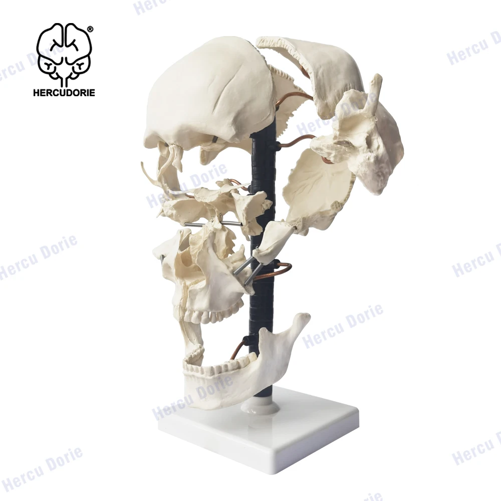 

Educational Equipment & Supplies