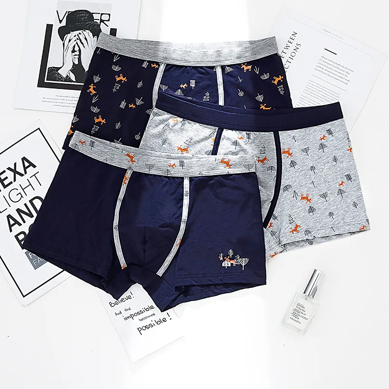 

sexy fashion young man cotton boxers male maple leaf or letter print underwear boys middle waist solid japanese panties gifts
