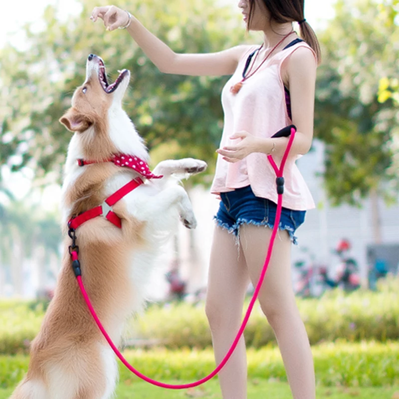 New Pet Dog Collars Traction Rope Supplies Chain Collar Chest Strap Harness Vest Adjustable Buckle Leash | Дом и сад