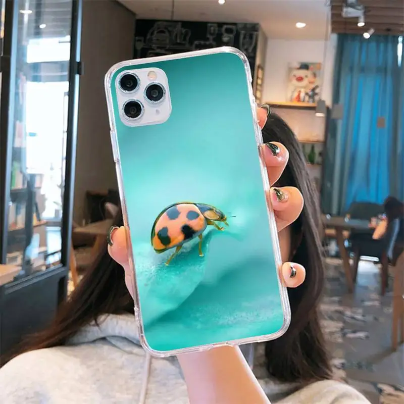 

ladybug animal flower plant Phone Case Transparent for iPhone 6 7 8 11 12 s mini pro X XS XR MAX Plus