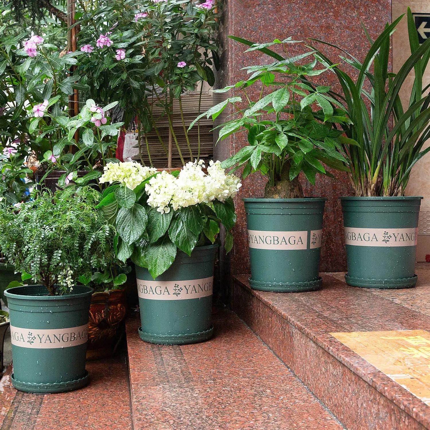 1 Gallon Plastic Garden Fat Pots Yangbaga Durable Nursery Pot Flower Container with pallets | Дом и сад