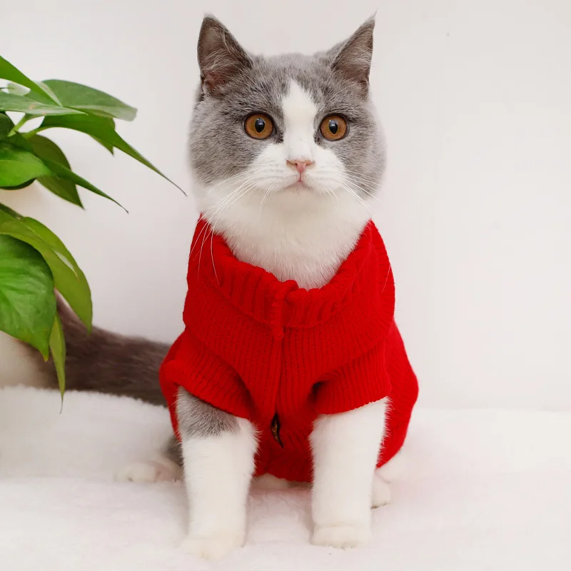 

Winter New Two-legged Cat Clothes Embroidered Double Pet Sweater Dog Clothes for Small Dogs Clothes for Pets