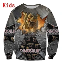 love dinosaur hoodies t shirt 3d printed kids sweatshirt long sleeve boy for girl funny animal pullover 12