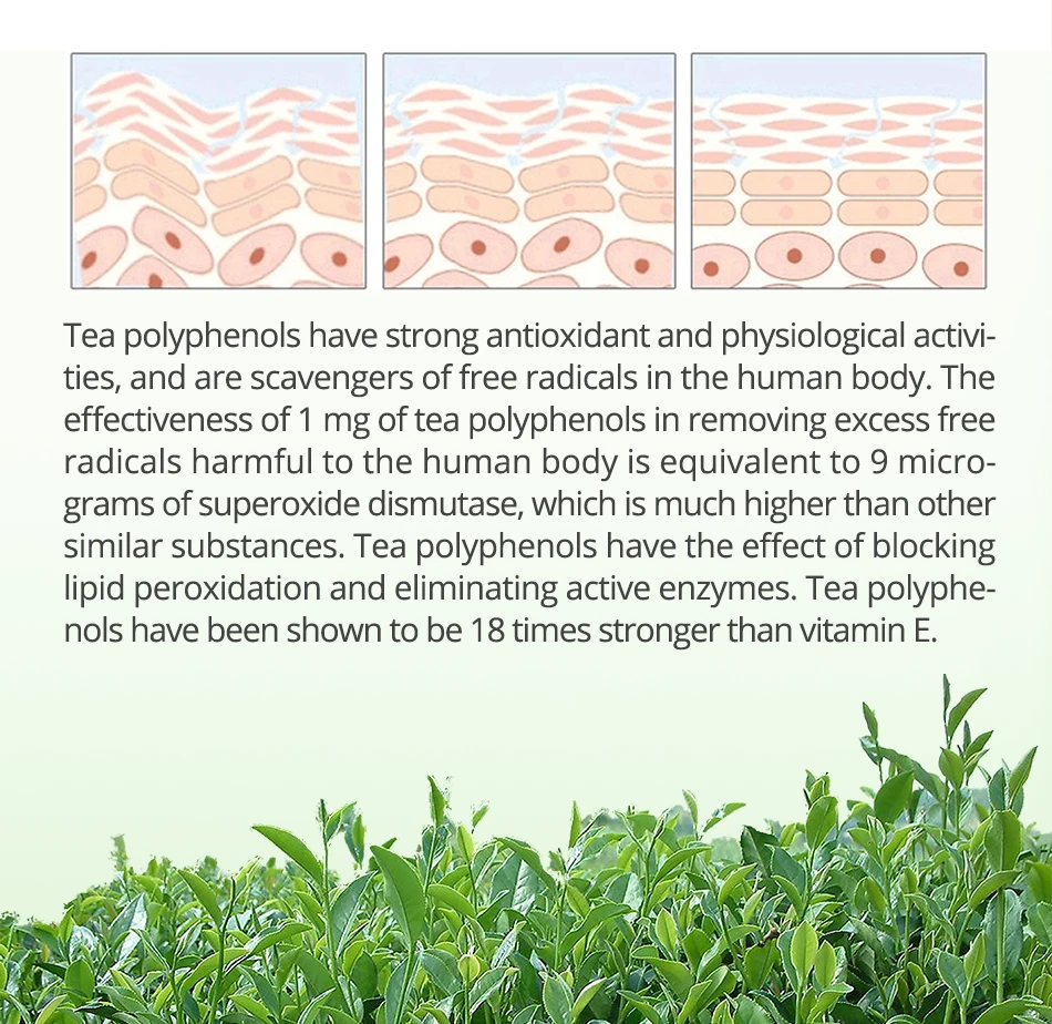 MSLAM Чай дерево для ухода за областью вокруг глаз 20g анти-морщин увлажняющий!