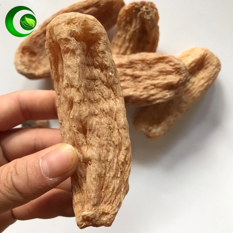 

Gastrodia, Gastrodia Elata Blume, Gastrodia Elata, Rhizoma Gastrodiae, Gastrodia Tuer,Tian ma