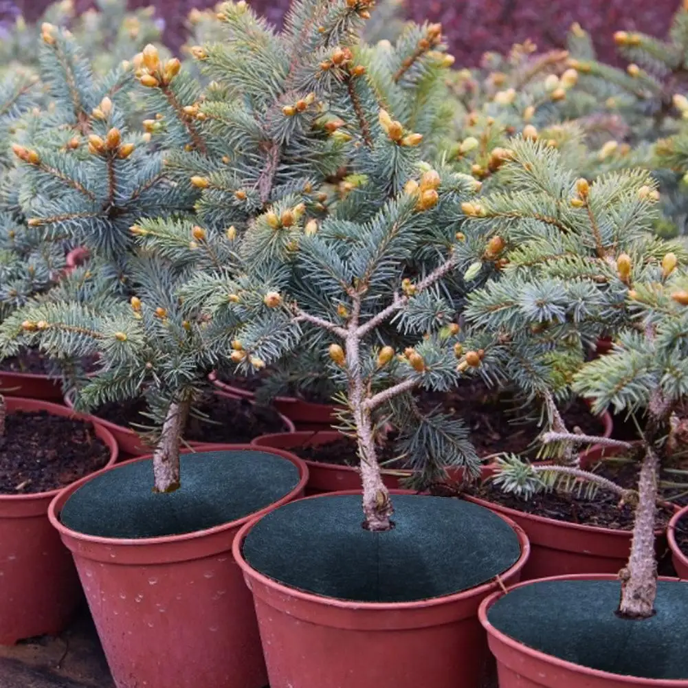 10 шт. войлочную ткань Стекло профилактика покрытие нетканом полотне гербицид