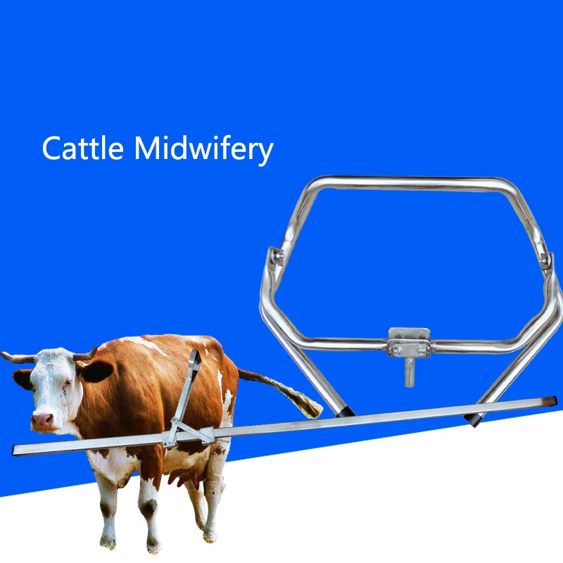 Увет ветеринарный крупного рогатого скота акушерство корова животных Dystocia