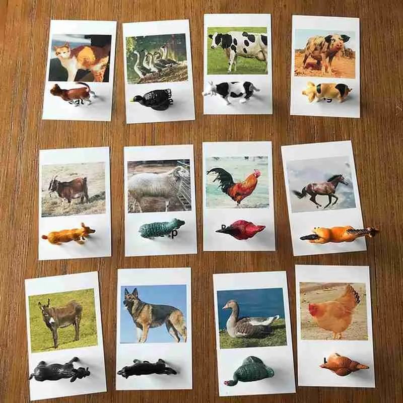 Montessori Animal Model English Words Match Cards Creative Animals Cognition Learning Teaching Aids Kids Educational Toy | Игрушки и