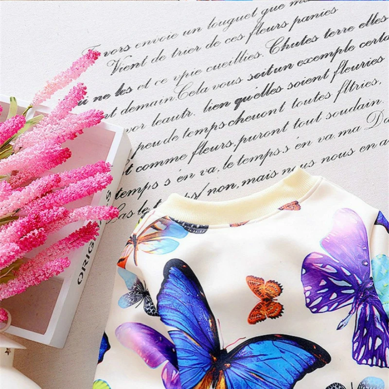 Костюм спортивный детский из куртки и брюк на весну/осень|Комплекты одежды для