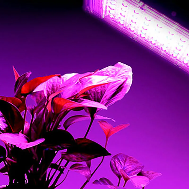 

LED Grow Light For Indoor Plant Phyto Lamp 50W Ac 220V Full Spectrum Floodlight For Hydroponic Greenhouse Seedlings Growth