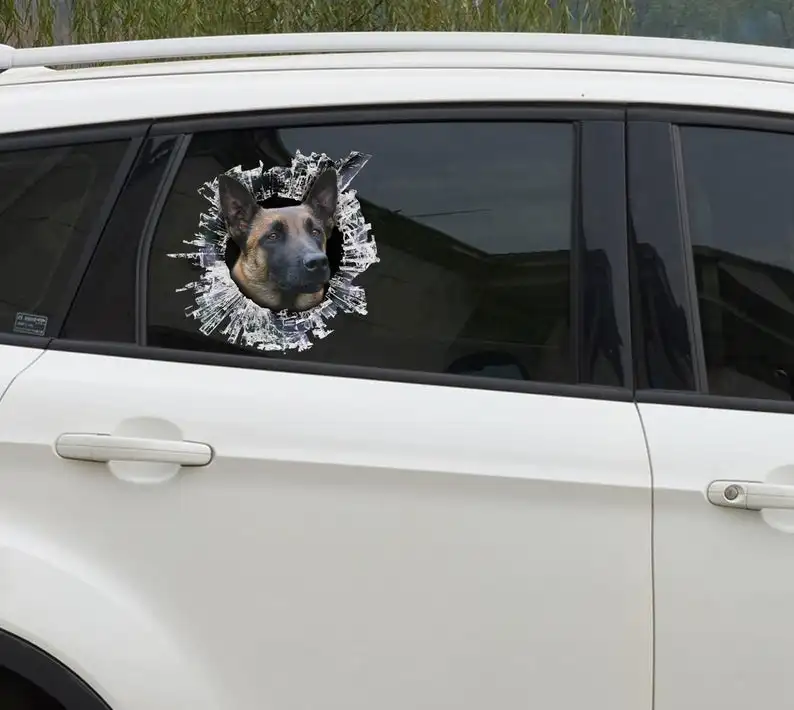 

2021 Belgian malinois window decal, belgian malinois car sticker, pet car decal