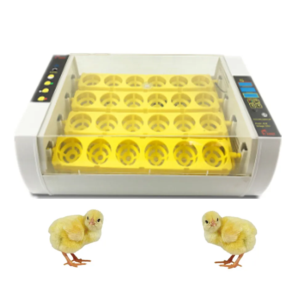price incubator d egg | Канцтовары для офиса и дома