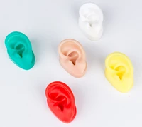 soft silicone simulation human ear picking massage model 11 life size for ear acupuncture press needle hearing aid display
