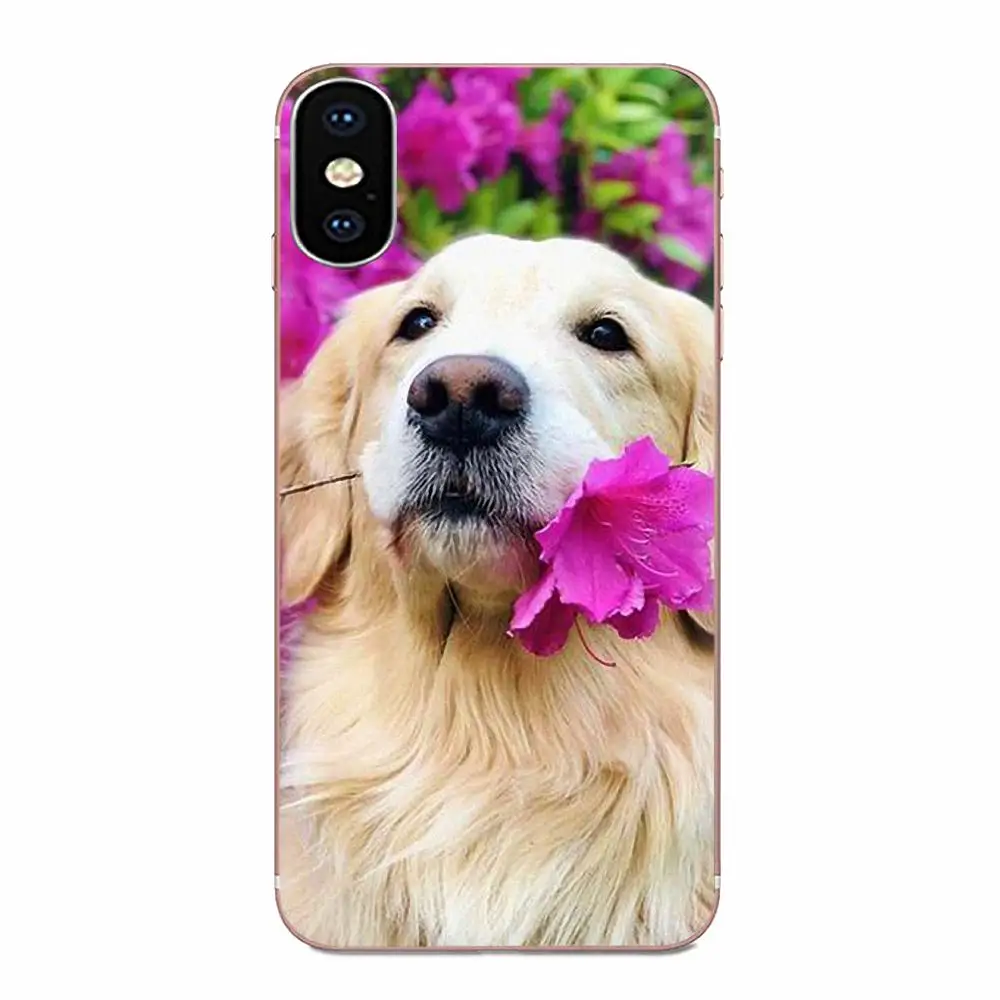 Мягкие ТПУ чехлы Capa Golden Retriever мультяшная собака для Samsung Galaxy Note 5 8 9 S3 S4 S5 S6 S7 S8 S9 S10 5G