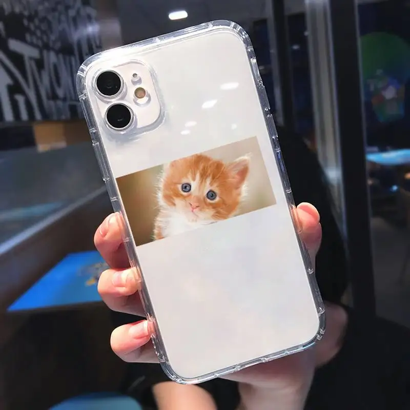 

Cute Cat Phone Case Transparent for Clear iPhone 11 12 8 7 6 6S Plus X 5S SE 2020 XR mini pro XS MAX
