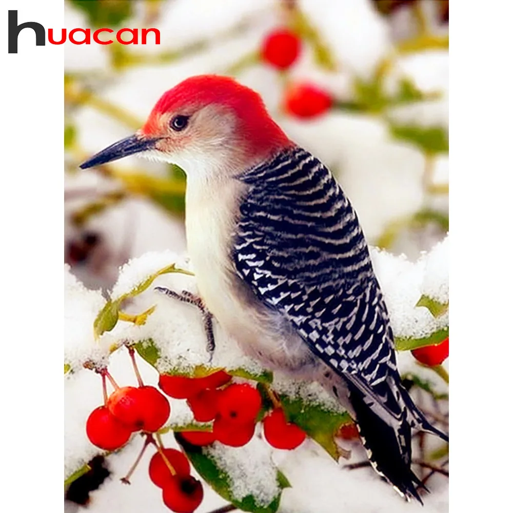 Huacan новая Алмазная вышивка птица Алмазная картина Полная площадь прибытие Зимние Стразы для украшения дома фотографии