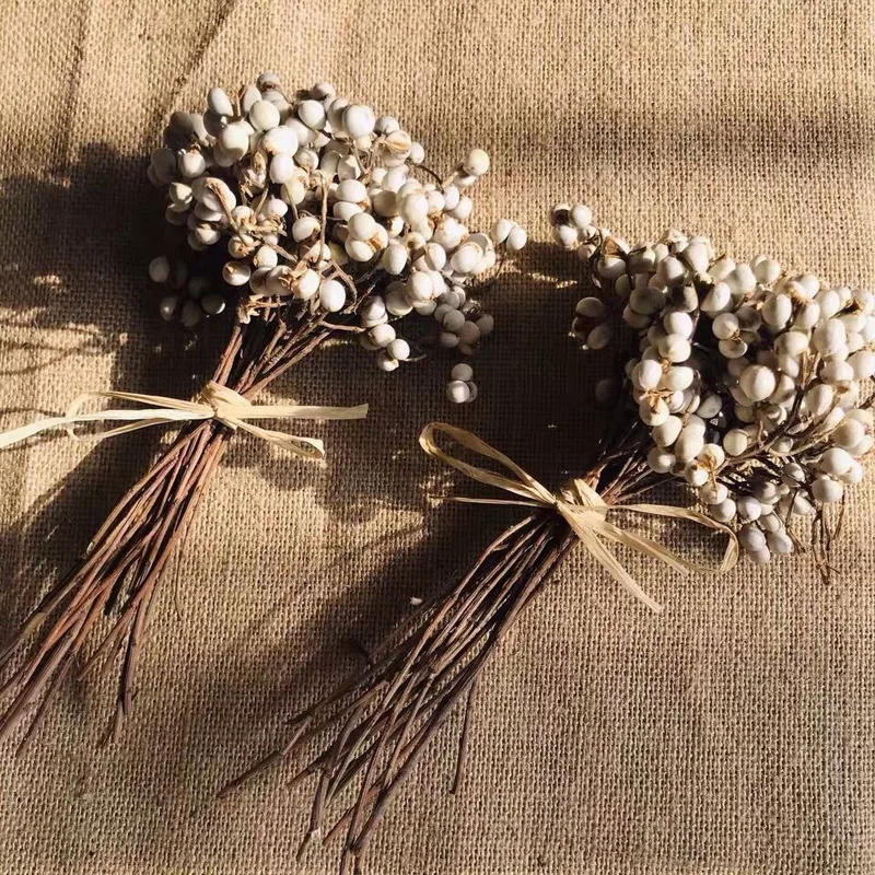 

20Pcs Nordic Dried Flower Forest Styles Decor Immortal Small Bouquet White Fruits Wedding Table Home Decoration Accessories