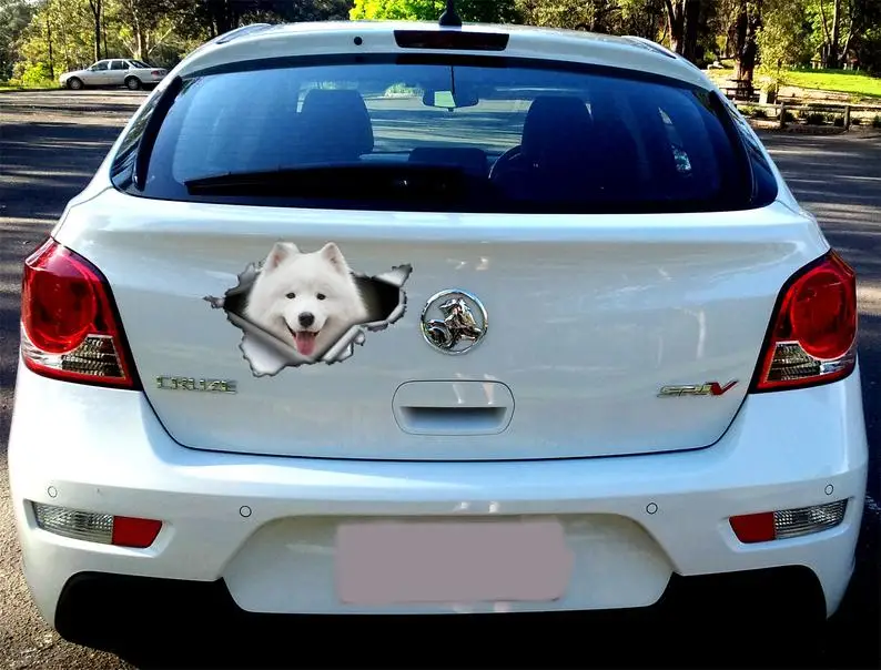 

2021 Samoyed sticker, Samoyed car decal, pet decal, dog sticker, dog decal