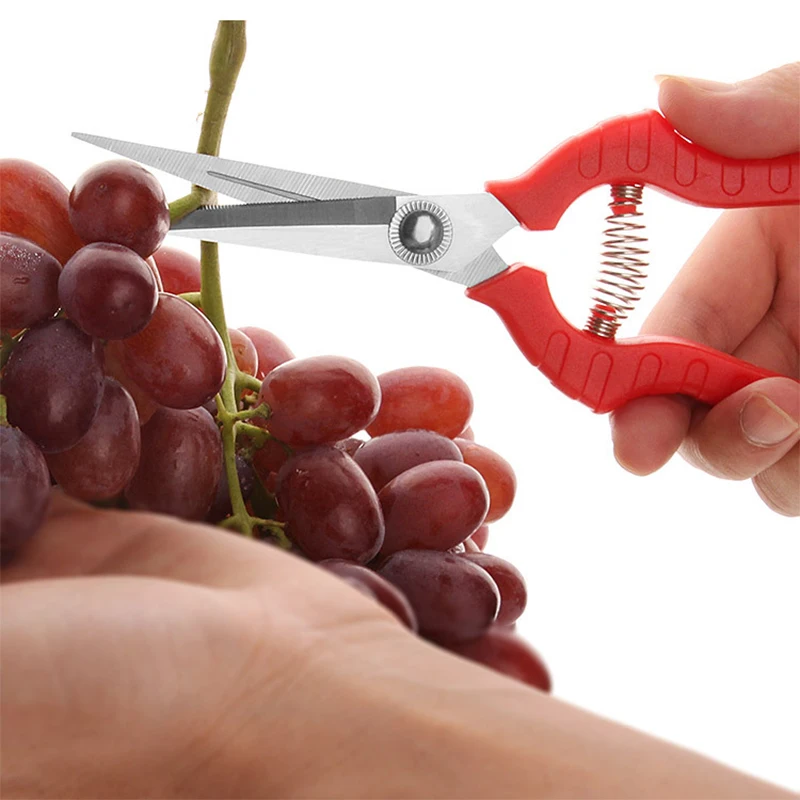 Прямые лезвия Обрезной инструмент для садоводства и ножницы ножничный секатор