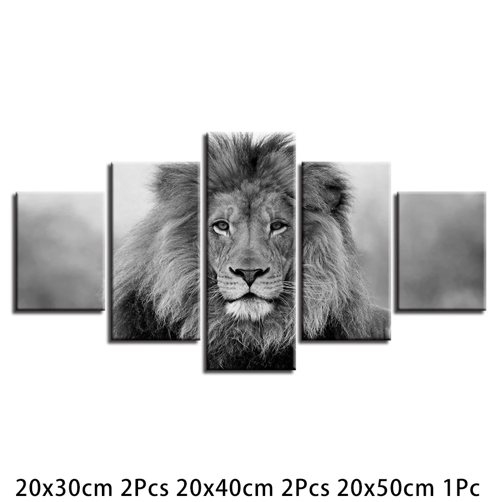 

Study Canvas Print Painting Corridor Living Room Modern Oil Paint Lion