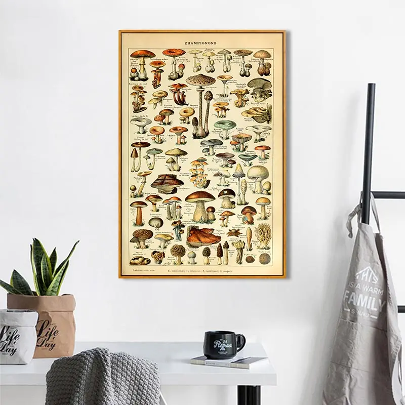 

Vintage Mushroom Poster Antique Botanical Prints French Version Educational Wall Art Canvas Painting Kitchen Pictures Home Decor