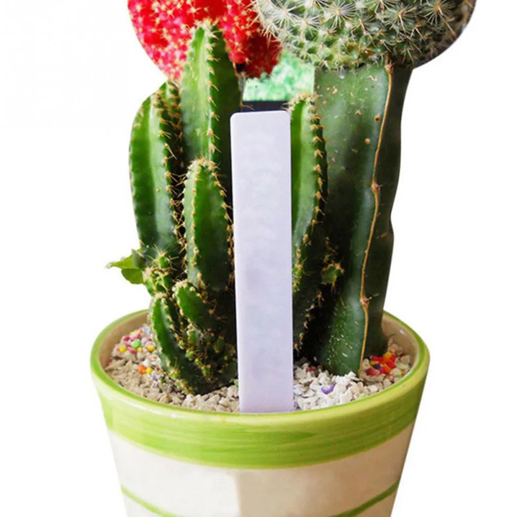 

100 Pcs Plastic Labels Pot Marker Nursery Garden Stake Tags 10cm x2cm Plant Label Flower Thick Label Mark Garden Decoration