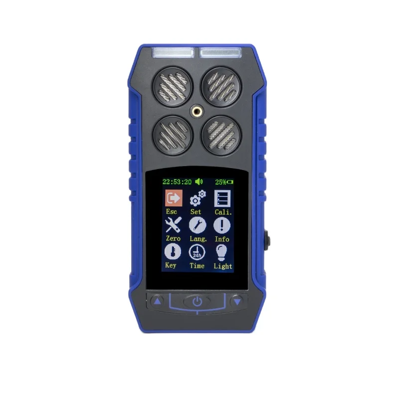 

Combustible and toxic multi - gas detector